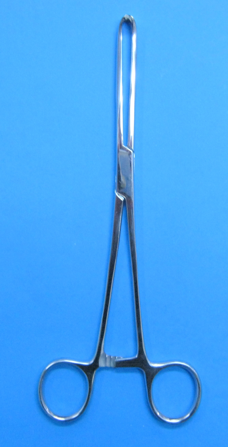 Forceps Allis Intestinal Clamp - 20cm 5x6