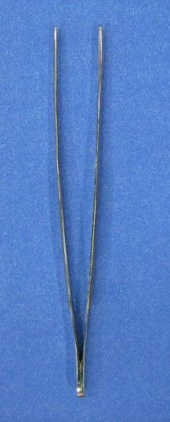 Forceps Dissecting - 16cm Plain