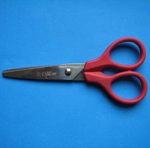 Hi-Care Budget Scissors