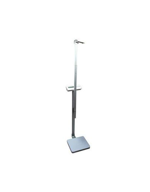 Scale MS3400 - Adult 300kg