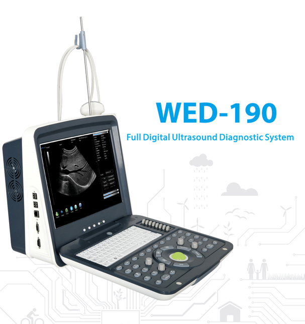 Ultrasound Black/White high end portable 15" LCD monitor, 1 probe 128 element , Li battery 1.5 hours